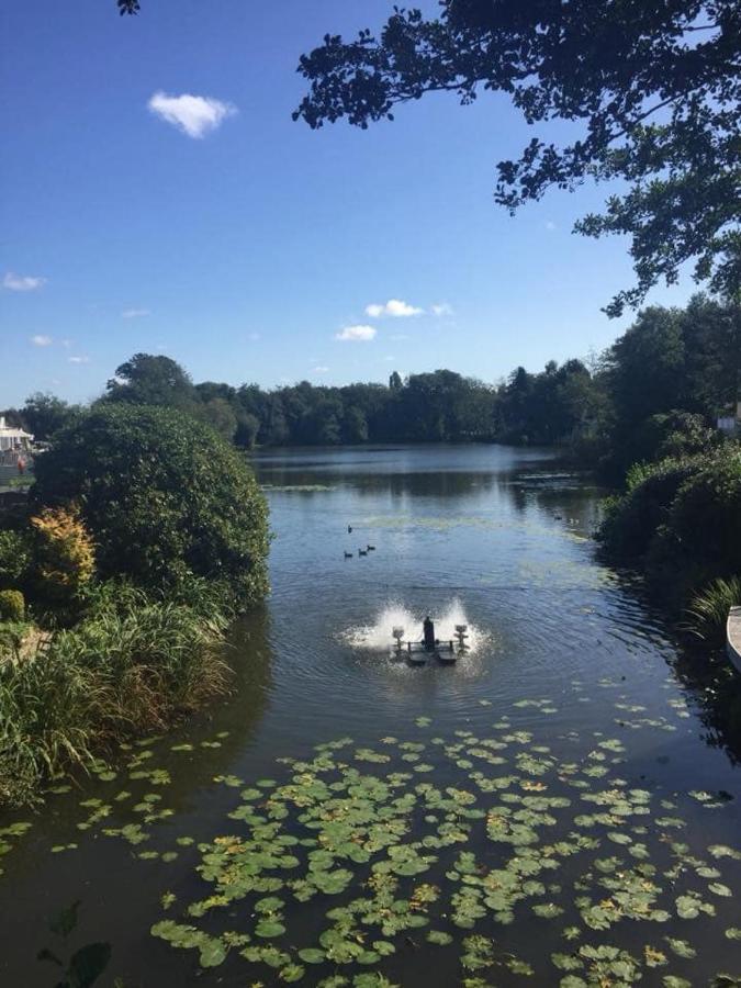 Campsite Hastings- Coghurst Hall Park Ore